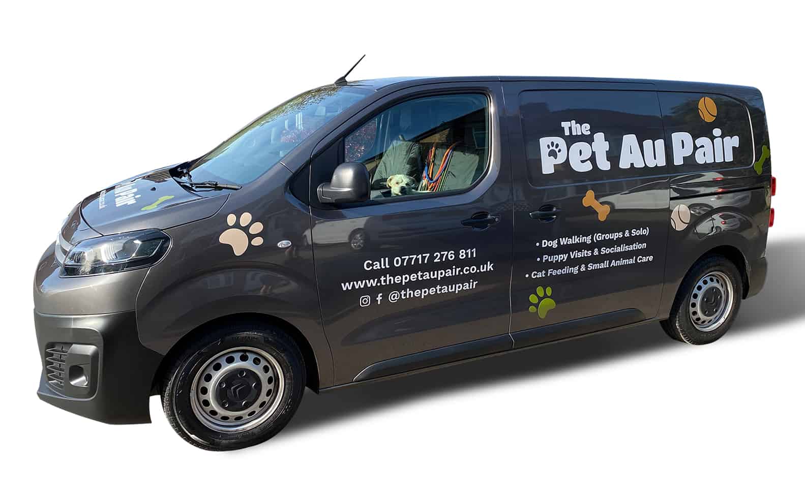 The Pet Au Pair Van Graphics Fleet Dog